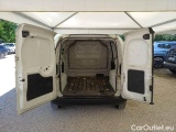 Fiorino
