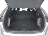  Ford  Kuga FORD  / 2019 / 5P / SUV 2.5 Dur 225 hybrid PHEV Pshift Titanium #10