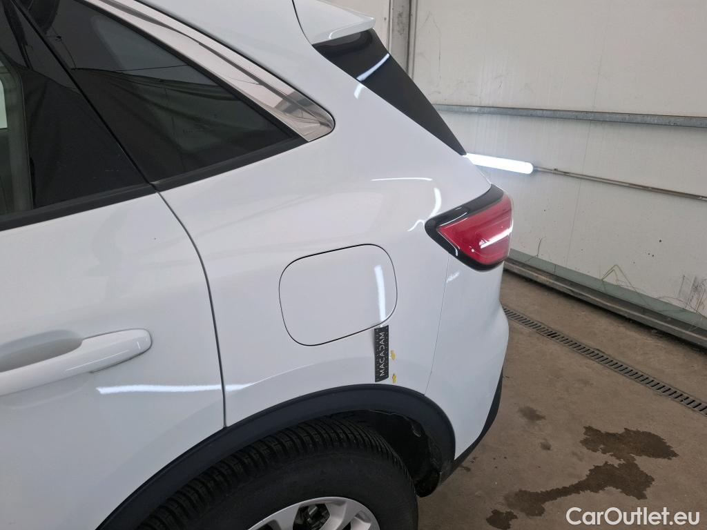  Ford  Kuga  Titanium Hybrid 2.5 190CV BVA6 E6dT #12