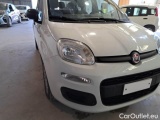 Fiat  Panda FIAT  / 2011 / 5P / BERLINA 1.0 FIREFLY 70CV SeS HYBRID #41
