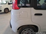  Fiat  Panda FIAT  / 2011 / 5P / BERLINA 1.0 FIREFLY 70CV SeS HYBRID #61