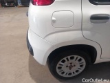  Fiat  Panda FIAT  / 2011 / 5P / BERLINA 1.2 69CV SeS E6D-TEMP EASY #42