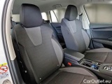  Skoda  Octavia SKODA  WAGON / 2020 / 5P / STATION WAGON 2.0 TDI EVO 110KW EXECUTIVE DSG #13