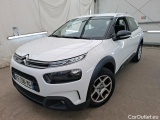 C4 Cactus