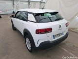C4 Cactus