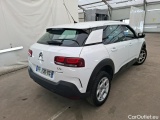 C4 Cactus