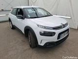 C4 Cactus