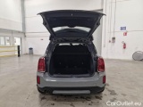 Countryman