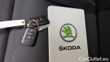  Skoda  Karoq 2.0l TDI DSG 4x4 AMBITION #12
