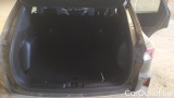  Ford  Kuga 1.5 EcoBlue 120CV 2WD ST-Line Auto #10