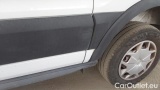  Ford  Transit 290 L2H2 Trend 2.0 Eco 130 Cv #42
