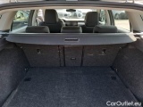  Skoda  Octavia SKODA  WAGON / 2020 / 5P / STATION WAGON 2.0 TDI EVO 110KW EXECUTIVE DSG #114