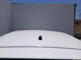  Opel  Corsa  F Elegance 1.2 T XHL 100CV MT6 E6d #9