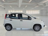  Fiat  Panda FIAT  / 2011 / 5P / BERLINA 1.2 69CV SeS E6D-TEMP EASY #7