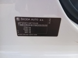  Skoda  KAMIQ SKODA  1.0 TSI 110 CV DSG Ambition #12