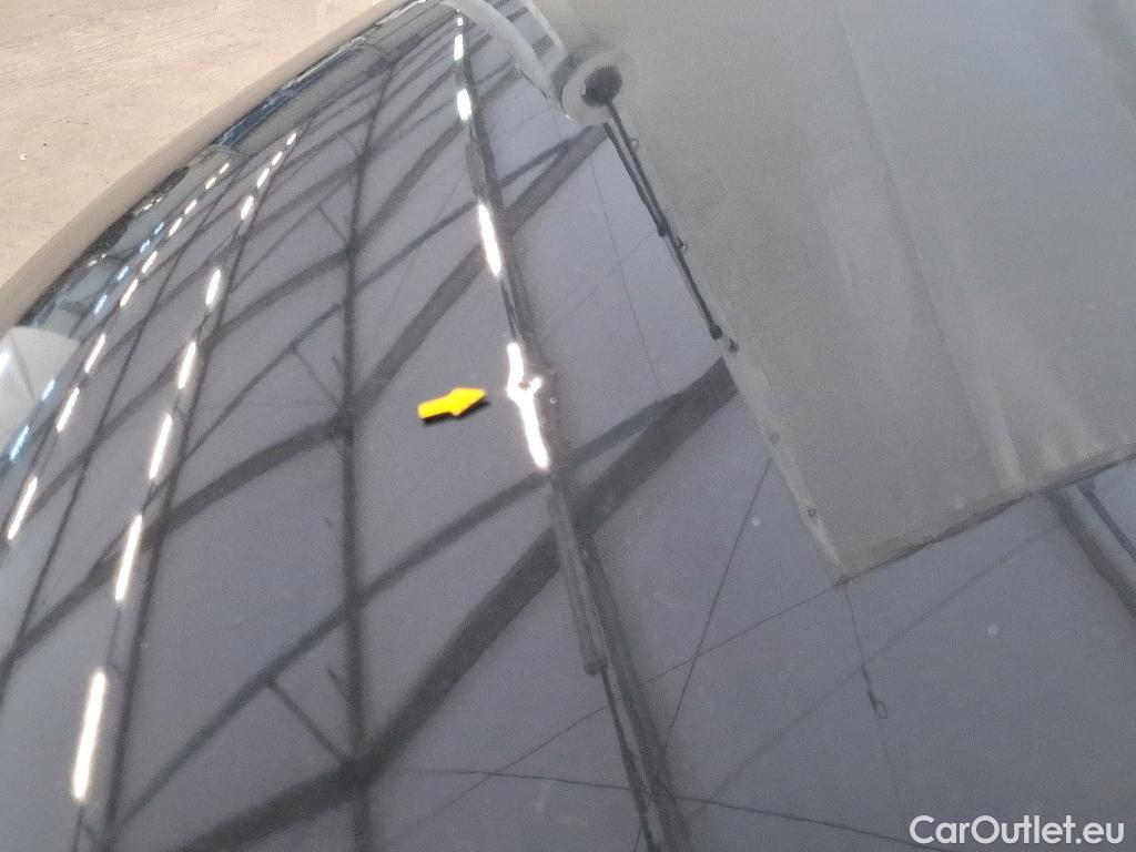  Citroen  C4 Cactus  Shine Business 1.2 PureTech 110CV BVM6 E6d #45