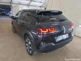 C4 Cactus