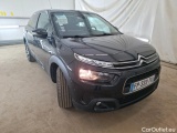 C4 Cactus