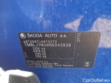  Skoda  Karoq  (NU)(2017->)  2.0TDI 110 4x4 Style AT #10