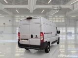 Ducato