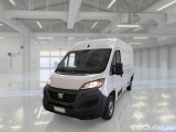 Ducato