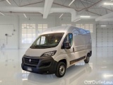 Ducato