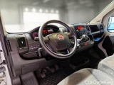 Ducato