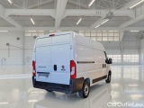 Ducato