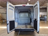 Ducato