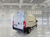 Ducato