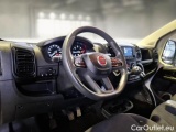 Ducato