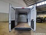 Ducato