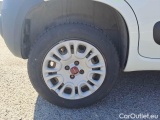  Fiat  Panda FIAT  VAN 2012 1.3 MJT 75CV EU5+VAN CLIMBING 4X4 2P.POP #16