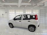  Fiat  Panda FIAT  VAN 2012 900CC NATURAL POWER EURO6 VAN 2 P. POP #8