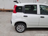  Fiat  Panda FIAT  VAN 2012 900CC NATURAL POWER EURO6 VAN 2 P. POP #56