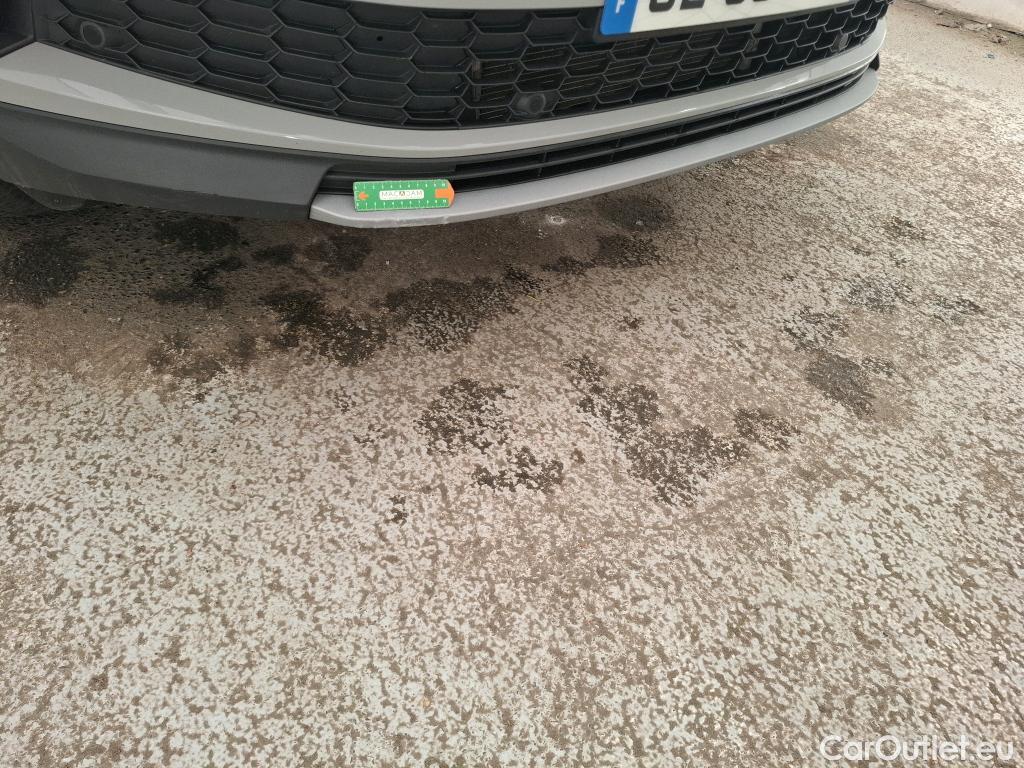  Skoda  Kodiaq  Business 2.0 TDI 150CV BVA7 E6d #1
