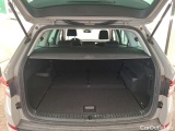  Skoda  Kodiaq  Business 2.0 TDI 150CV BVA7 E6d #10