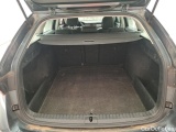  Skoda  Octavia  Combi Business 2.0 TDI 115CV BVM6 E6d #10