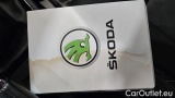  Skoda  Scala 1.0 TSI 81kW Ambition #17