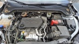  Ford  Focus 1.5 Ecoblue 95cv Business SW #15