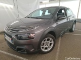 C4 Cactus