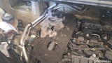  Peugeot  Expert  Kombi L2 1.5 HDi 88KW MT6 E6dT #19