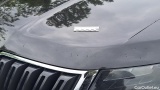 Skoda  Kodiaq  Drive 125 4x4 2.0 TDI 147KW AT7 E6d #38