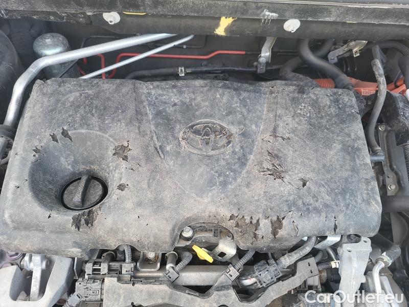  Toyota  RAV4  2019  2.5 Hyb.Bl.Ed.4WD Aut 5d #9