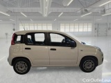  Fiat  Panda FIAT  / 2011 / 5P / BERLINA 1.2 69CV E6D-TEMP EASY #7