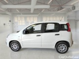  Fiat  Panda FIAT  / 2011 / 5P / BERLINA 1.2 69CV E6D-TEMP EASY #8