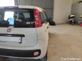  Fiat  Panda FIAT  / 2011 / 5P / BERLINA 1.2 69CV E6D-TEMP EASY #60
