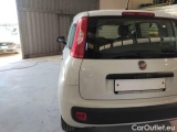  Fiat  Panda FIAT  / 2011 / 5P / BERLINA 1.2 69CV E6D-TEMP EASY #63