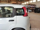  Fiat  Panda FIAT  / 2011 / 5P / BERLINA 1.2 69CV E6D-TEMP EASY #66