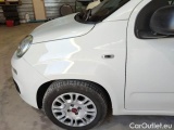  Fiat  Panda FIAT  / 2011 / 5P / BERLINA 1.2 69CV E6D-TEMP EASY #75